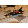 Syhart 056 - Mirage F-1CT n°260 "Retirement EC 2/30 Normandie-Niemen" 2009
