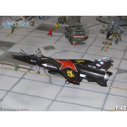 Syhart 056 - Mirage F-1CT n°260 "Retirement EC 2/30 Normandie-Niemen" 2009
