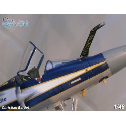 Syhart 058 - Mirage 2000C n°117 103-LD "Retirement EC2/12 Picardie" July 2009