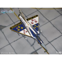 Syhart 058 - Mirage 2000C n°117 103-LD "Retirement EC2/12 Picardie" July 2009