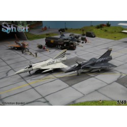 Syhart 022 - Mirage IIIRS R-2110 & R-2116 Black & White