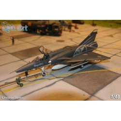 Syhart 022 - Mirage IIIRS R-2110 & R-2116 Black & White