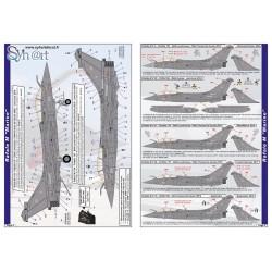 Syhart 915v2 - Rafale B/C/M marquages standards "Armée de l'Air & Marine"