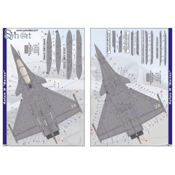 Syhart 915v2 - Rafale B/C/M standards markings "Armée de l'Air & Marine"