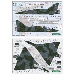 Syhart 923 - Mirage 2000 "standard" (Green Mirages : D/N) French Air Force