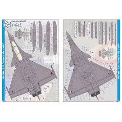 Syhart 915v2 - Rafale B/C/M standards markings "Armée de l'Air & Marine"