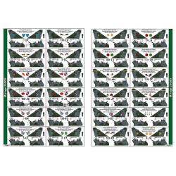 Syhart 923 - Mirage 2000 "standard" (Green Mirages : D/N) French Air Force