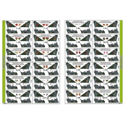 Syhart 923 - Mirage 2000 "standard" (Green Mirages : D/N) French Air Force