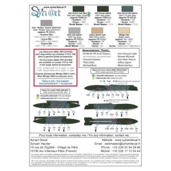 Syhart 923 - Mirage 2000 "standard" (Green Mirages : D/N) French Air Force
