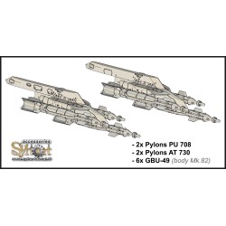 SP028 - 6x GBU-49 (corps...