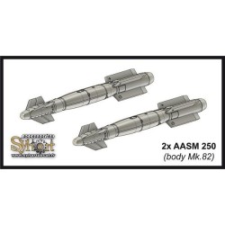 W004 - AASM 250 (corps...