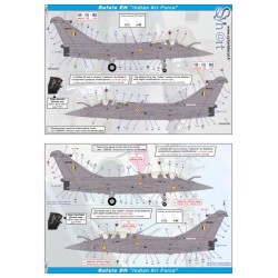 Syhart 918 - Rafale "versions exportation" (partie 1) - Egypte, Qatar, Inde