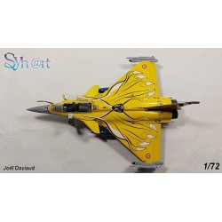 Syhart 075 - Rafale C 113-HJ "Tigermeet 2013" EC 1/7 "Provence"