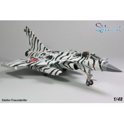Syhart 117 - Rafale M "Tigermeet 2017" Flottille 11F