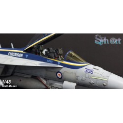 Syhart 119 - EA-18G Growler A46-306 "100 Years 6 Squadron" RAAF - 2017
