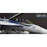 Syhart 119 - EA-18G Growler A46-306 "100 Years 6 Squadron" RAAF - 2017