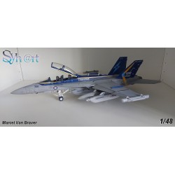 Syhart 119 - EA-18G Growler A46-306 "100 Years 6 Squadron" RAAF - 2017