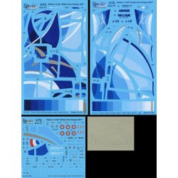 Syhart 143 - Rafale C 4-GR "Rafale Solo Display 2021"