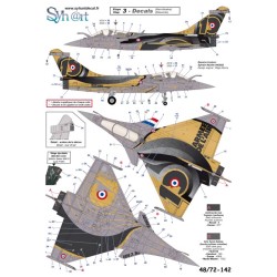 Syhart 142 - Rafale C 4-IM "Rafale Solo Display 2019/2020"