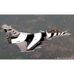 Syhart 138 - Rafale C 118-EF "Tigermeet 2012" EC 5/330 "Côte d'Argent"