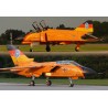 Syhart 135 - F-4F Phantom II 37+16 & Tornado IDS 45+03 "50 Jahre WTD-61" 2007