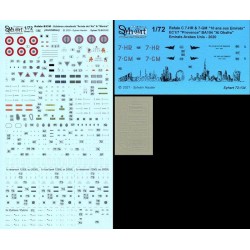 Syhart 134 - Rafale C 7-HR & 7-GM "10 ans au Emirats" EC 1/7 Provence 2020