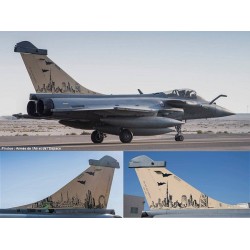 Syhart 134 - Rafale C 7-HR & 7-GM "10 years in United Arab Emirates" EC 1/7 Provence 2020